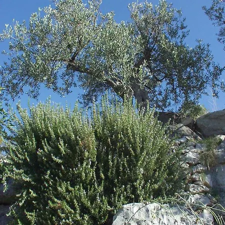 شقة With A Parking Space Postira, Brac - 742 بوستيرا